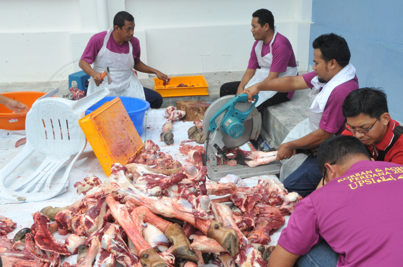 PRO15 150 KORBAN HAS 6986